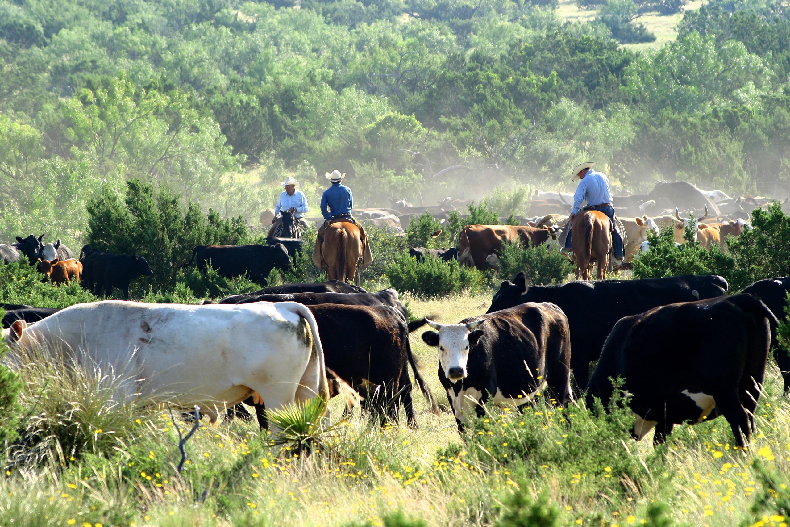 Guided Hunt Adventure